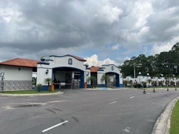 Terreno - Venda - Novo Aleixo - Manaus - AM