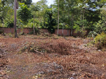 Terreno - Venda - Tarumã - Manaus - AM